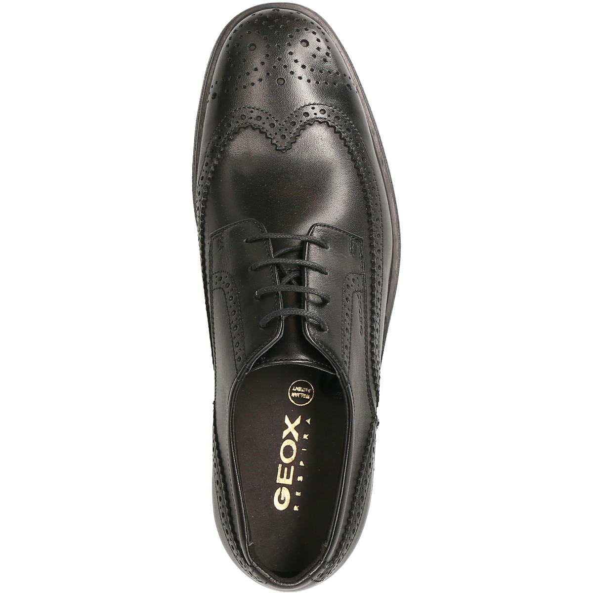 geox dublin brogue