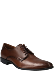lloyd shoes online