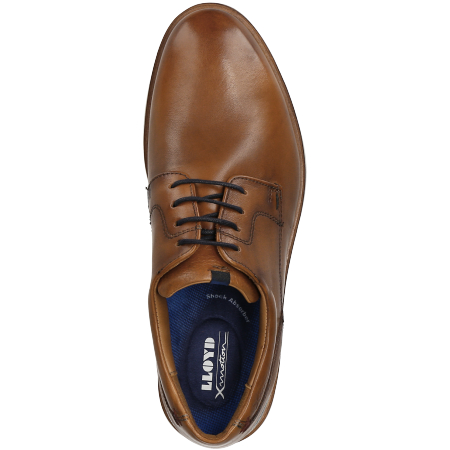 lloyd shoe company