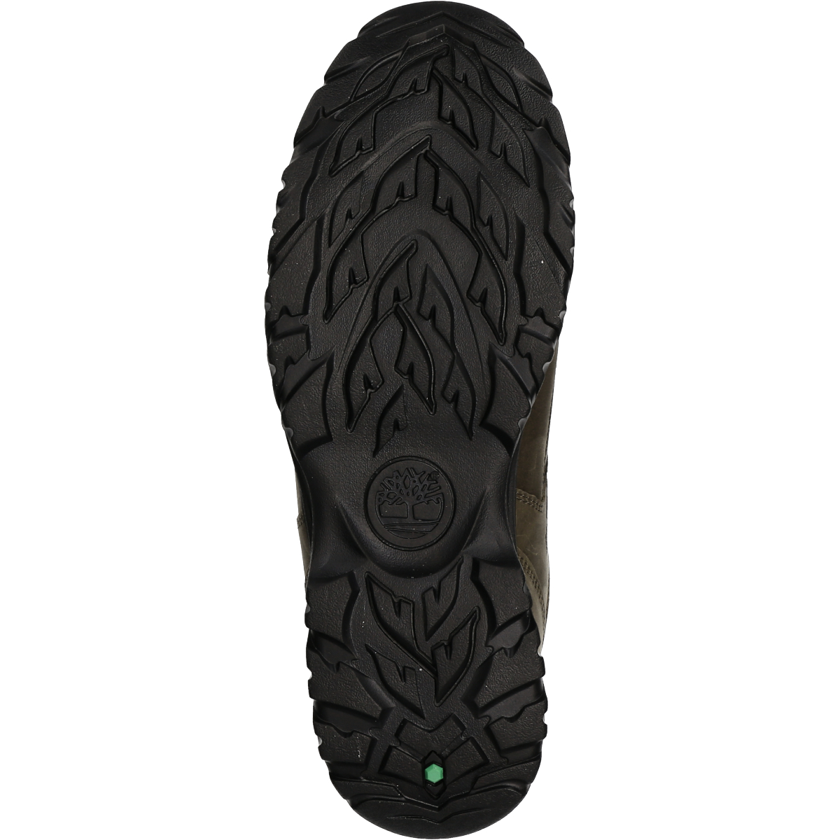 mt major timberland