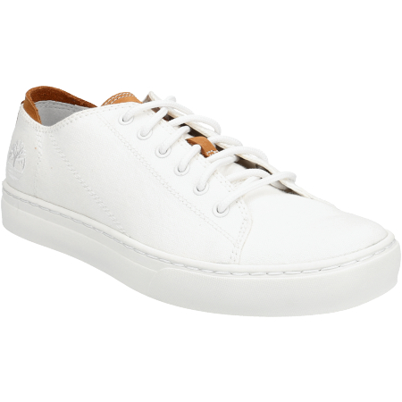 timberland plimsolls