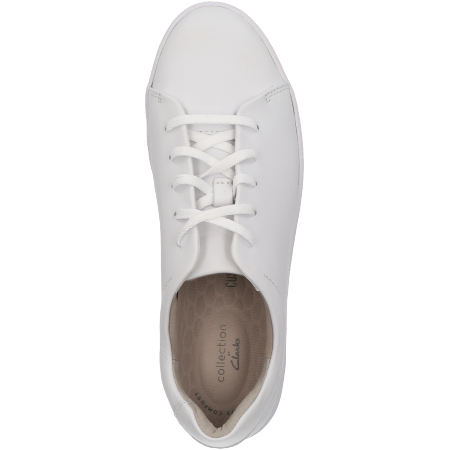 clarks pawley springs