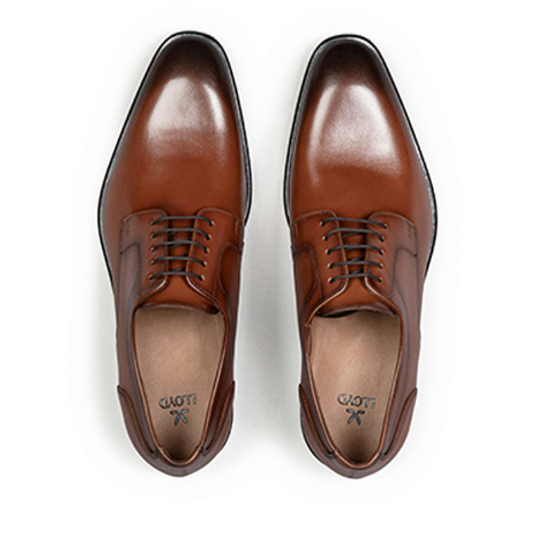 Lloyd 16-048-03 LENO 110 Schnürschuhe in braun