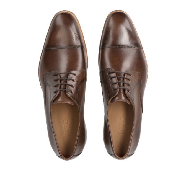 Lloyd 14-119-05 NEWPORT lace-up shoes in brown