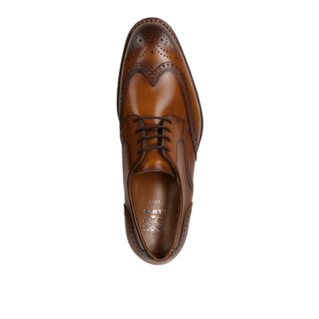Lloyd 20-746-01* WARWICK lace-up shoes in brown