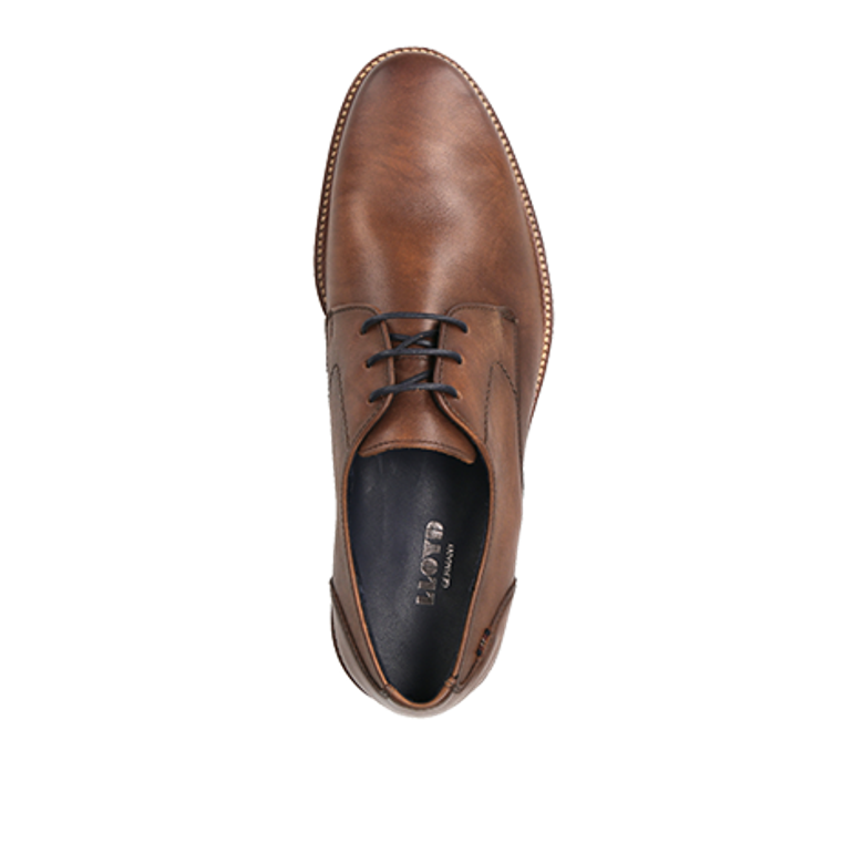 Lloyd 12-019-05 LANGSTON lace-up shoes in brown