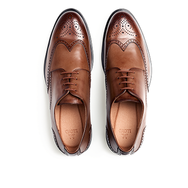 Lloyd 25-509-03 EEZY 140 lace-up shoes in brown