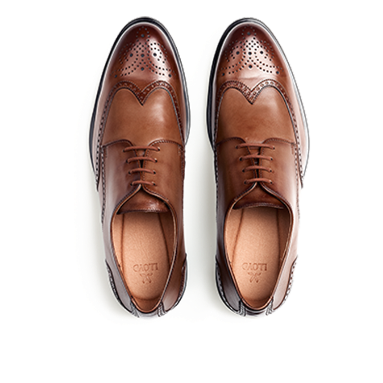 Lloyd 25-509-03 EEZY 140 Schnürschuhe in braun