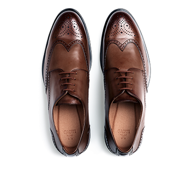 Lloyd 25-509-07 EEZY 140 lace-up shoes in brown