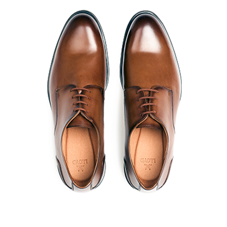 Lloyd 25-508-03 EEZY 110 lace-up shoes in brown