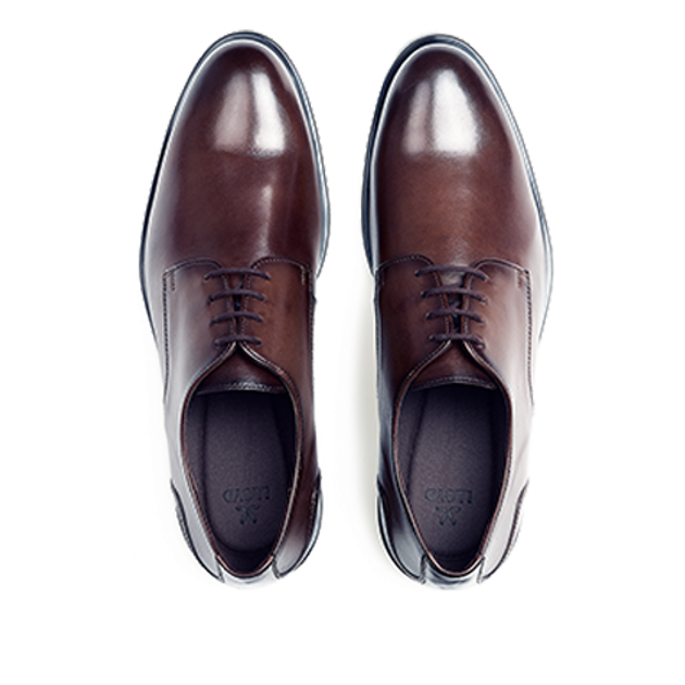 Lloyd 25-508-07 EEZY 110 lace-up shoes in brown