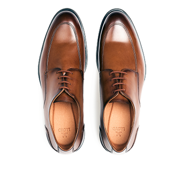 Lloyd 25-510-03 EEZY 112 lace-up shoes in brown