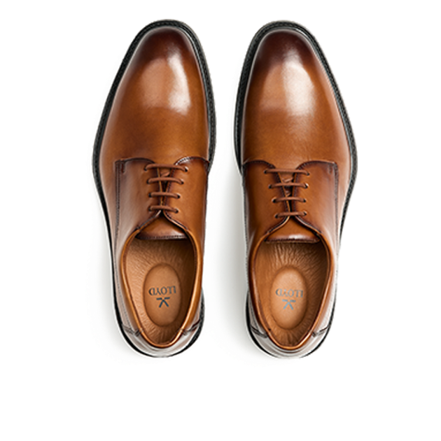 Lloyd 25-529-03 X-MOTION 110 lace-up shoes in brown