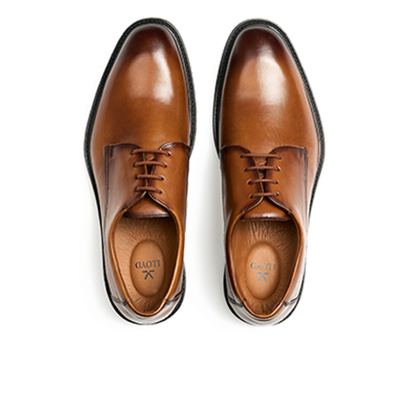 Lloyd 25-529-03 X-MOTION 110 lace-up shoes in brown