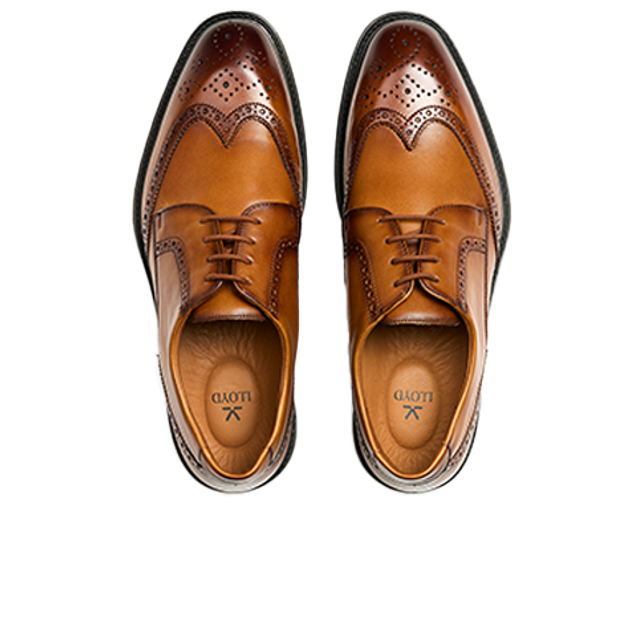 Lloyd 25-531-03 X-MOTION 140 lace-up shoes in brown