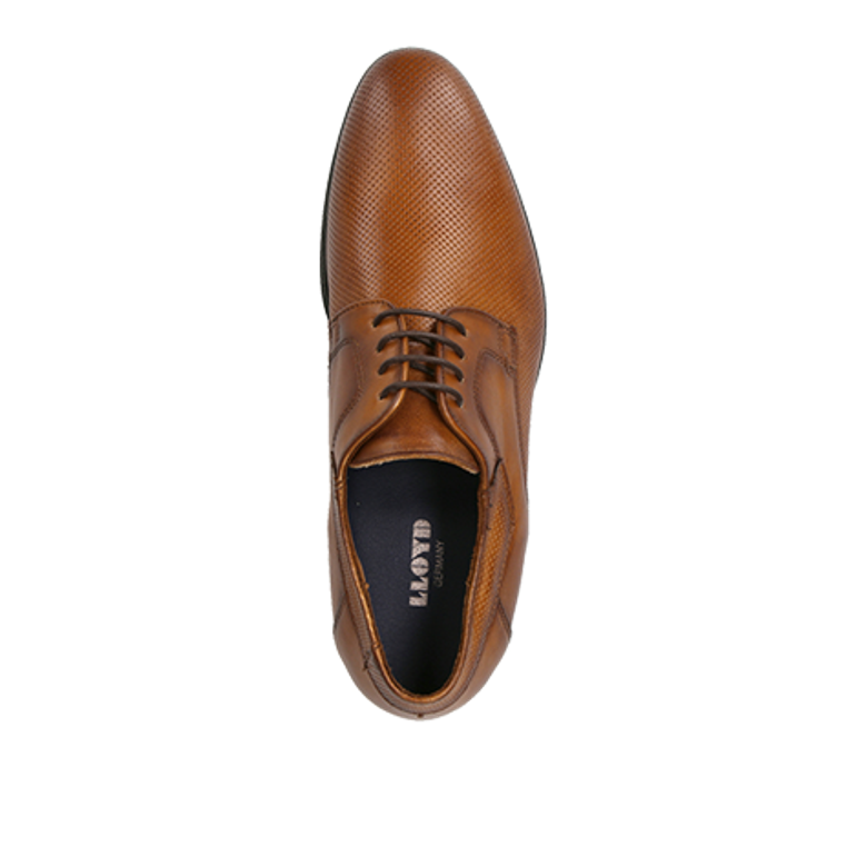 Lloyd 10-153-13 LEVIN lace-up shoes in brown