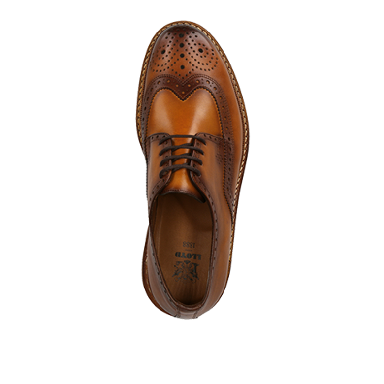 Lloyd WOTAN lace up shoes in brown