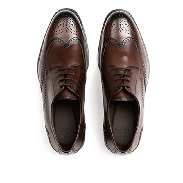 Lloyd 25-521-07 EEZY 140W lace-up shoes in brown