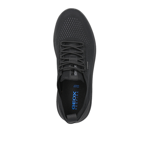 GEOX SPHERICA sneaker in black