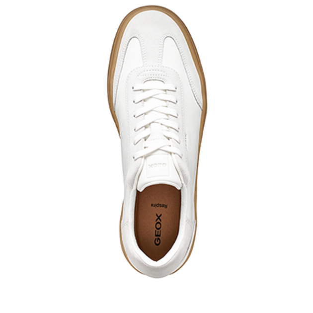 GEOX BALTMOORE sneaker in white
