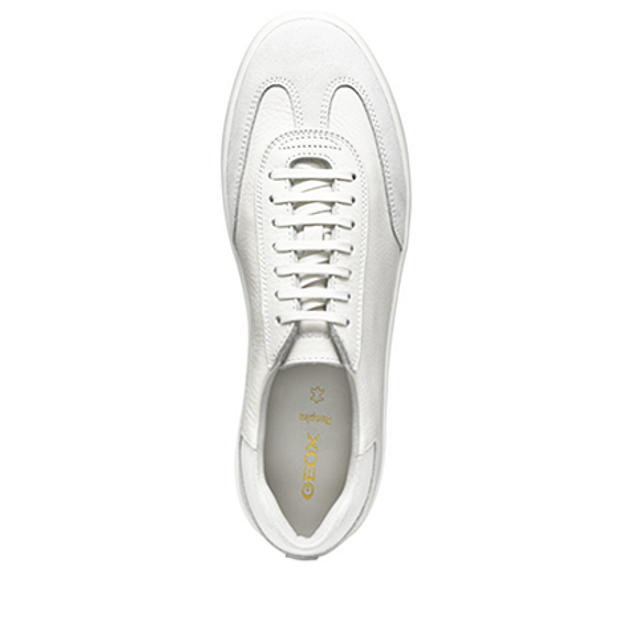 GEOX REGIO sneaker in white