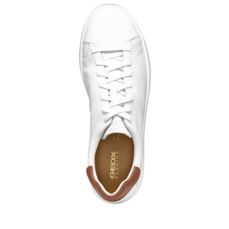 GEOX SPHERICA ECUB sneaker in white