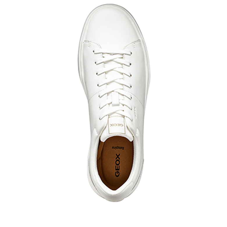 GEOX BALTMOORE sneaker in white