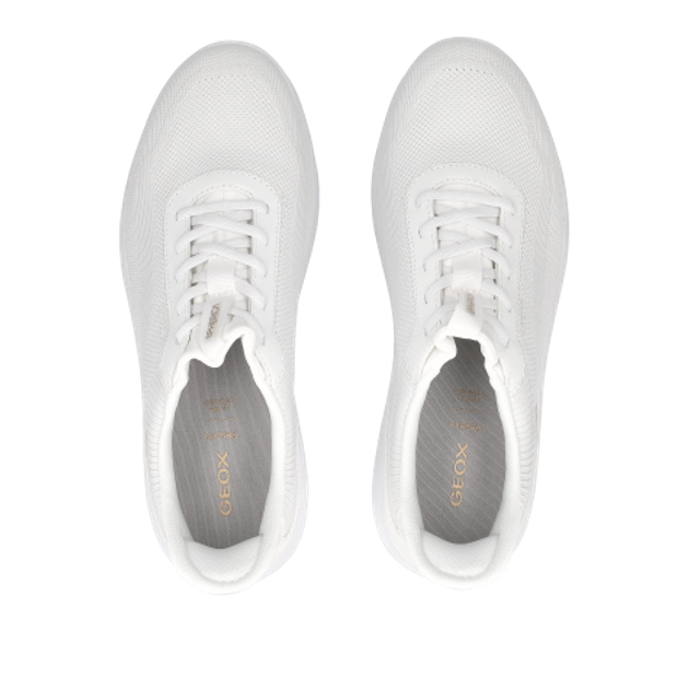 GEOX SPHERICA PLUS sneaker in white