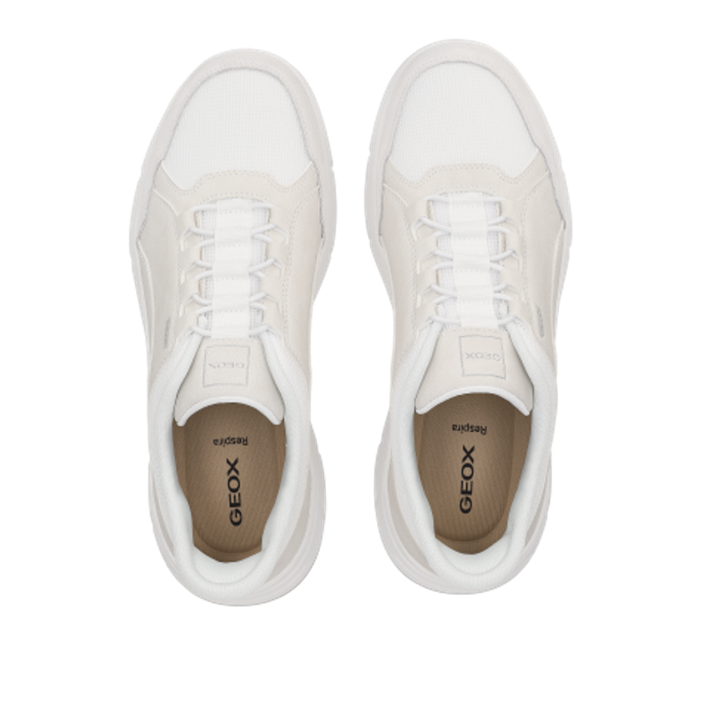 GEOX Vittour sneaker in white