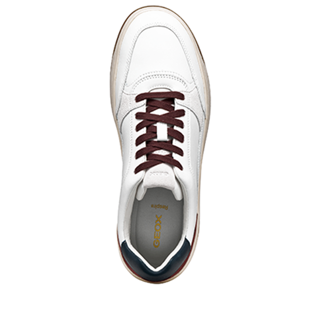 GEOX SEDRAL COURT sneaker in white