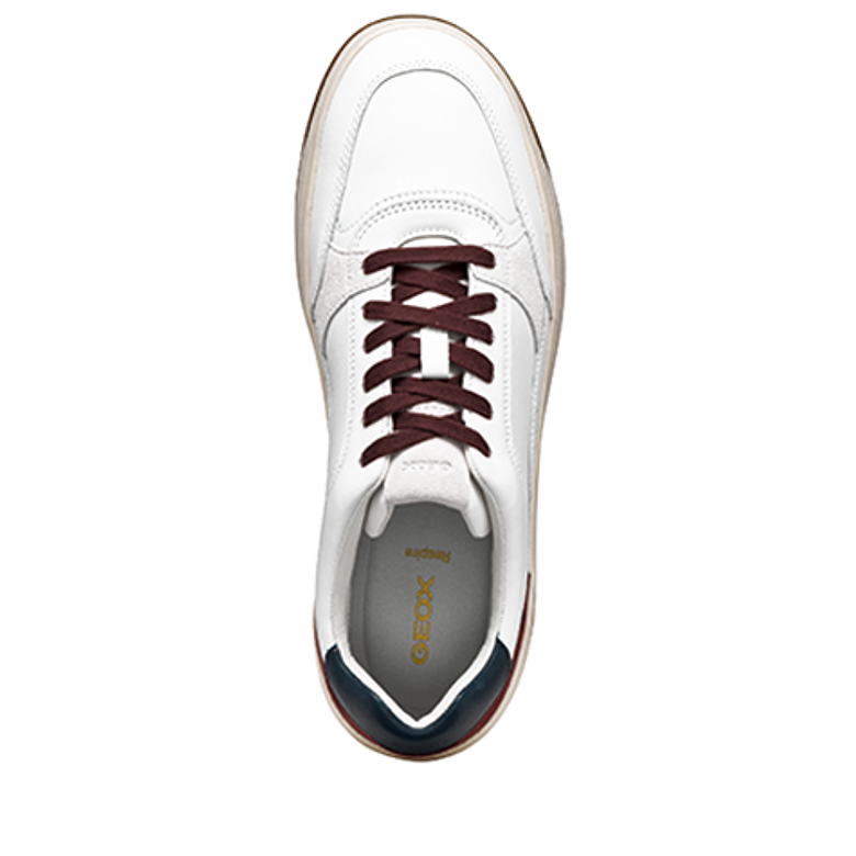 GEOX SEDRAL COURT sneaker in white
