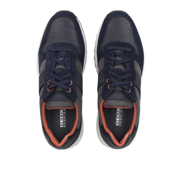 GEOX MOLVENO sneaker in gray