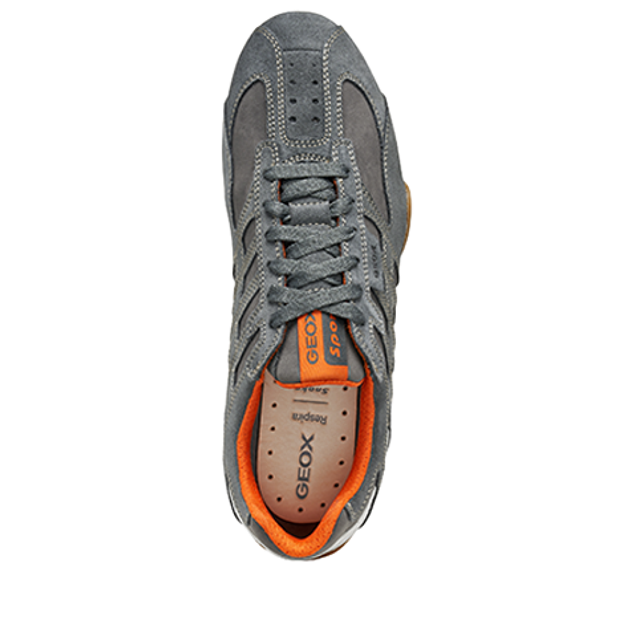 GEOX SNAKE sneaker in gray