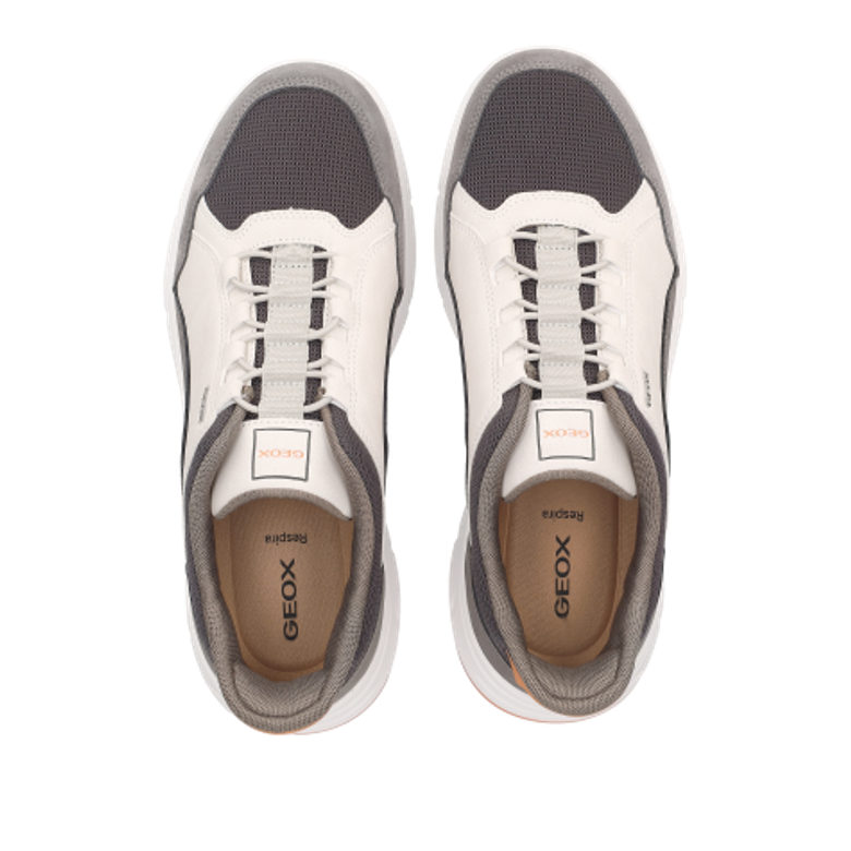 GEOX Vittour sneaker in gray