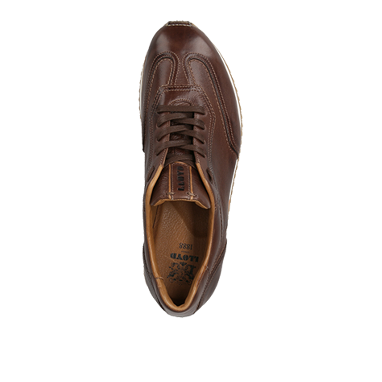 Lloyd BLAKE sneaker in brown