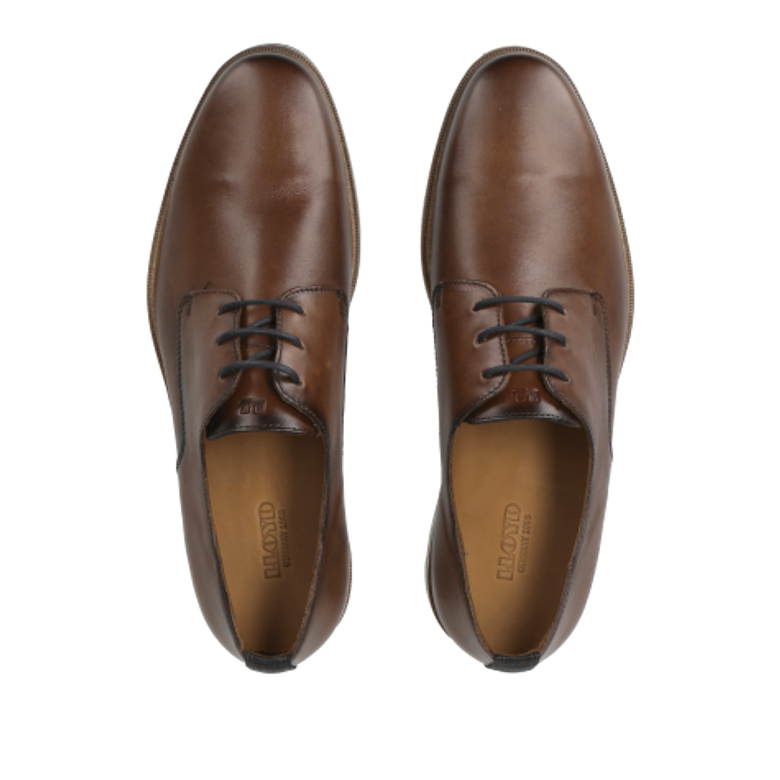 Lloyd 14-007-03 DAKIN lace-up shoes in brown