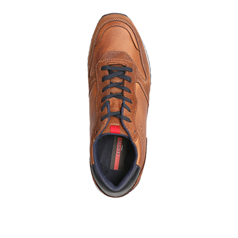 Lloyd 20-900-12 EDMOND sneaker in brown