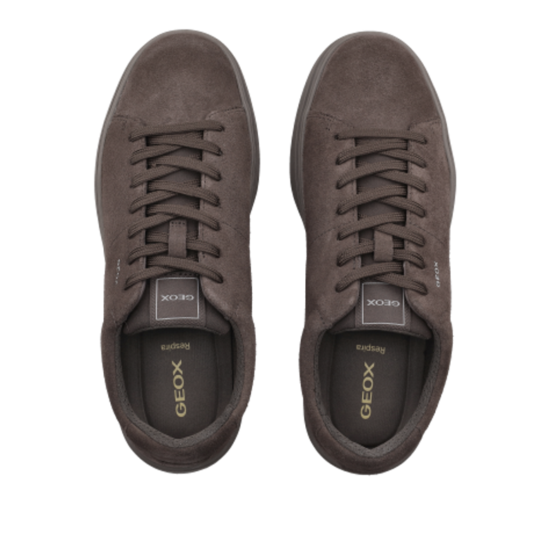 GEOX BALTMOORE Sneaker in braun