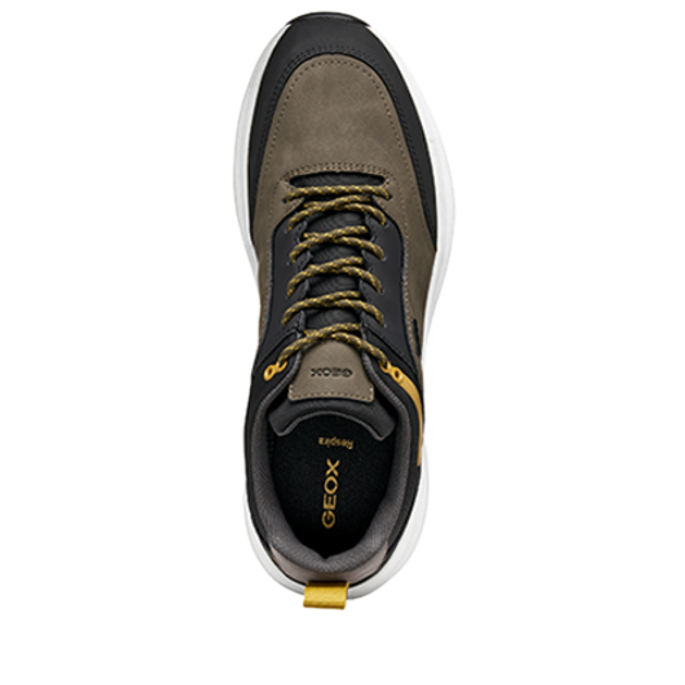 GEOX SENALES sneaker in brown