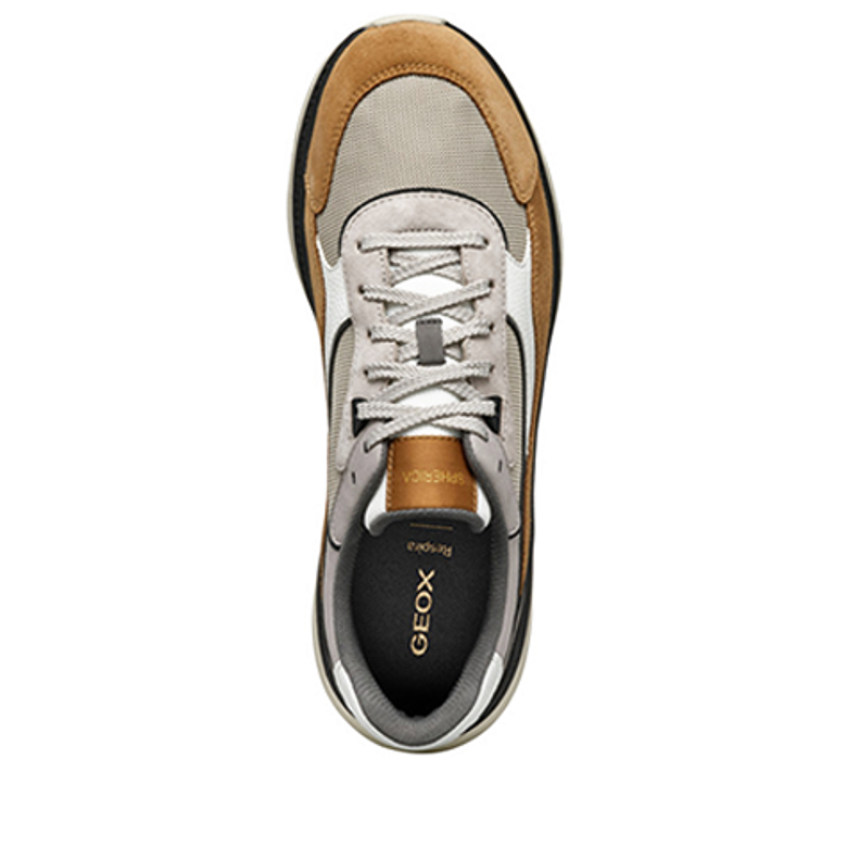 GEOX SPHERICA ACTIF sneaker in brown