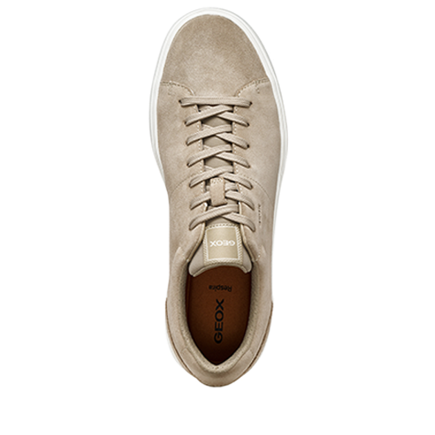 GEOX BALTMOORE sneaker in beige