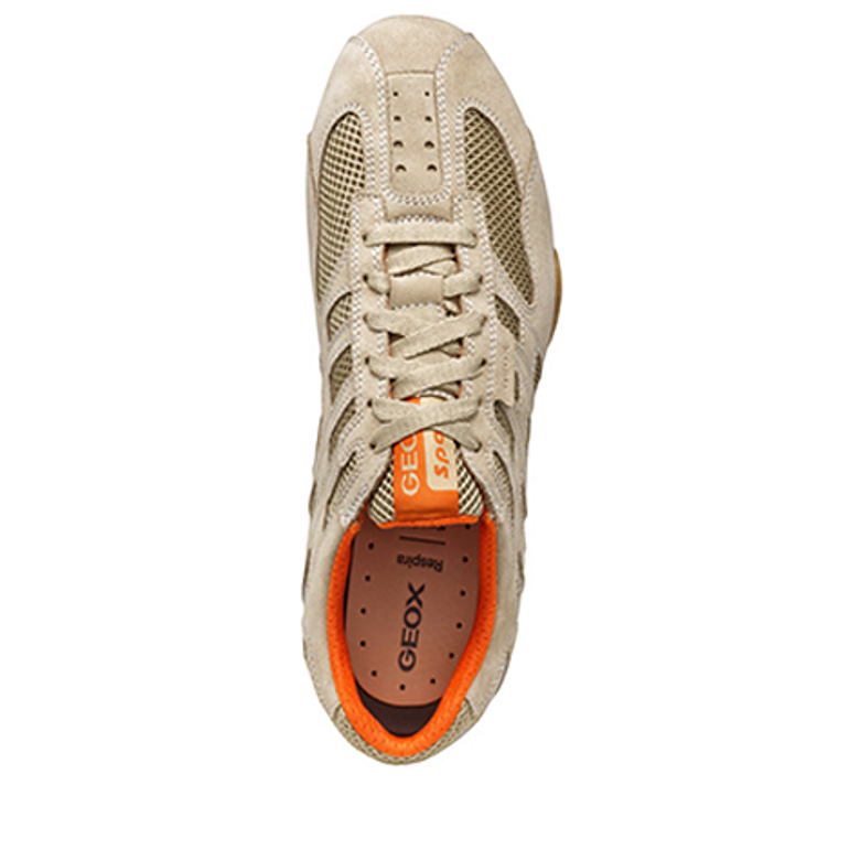 GEOX SNAKE sneaker in beige