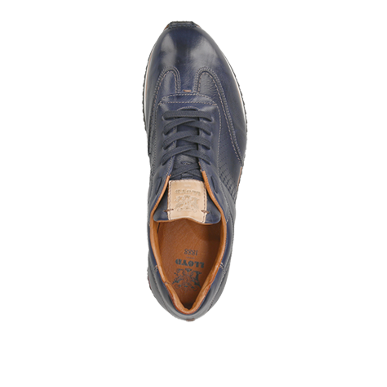 Lloyd WALCOTT sneaker in blue