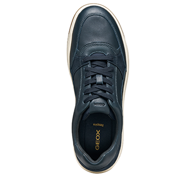 GEOX SEDRAL COURT sneaker in blue