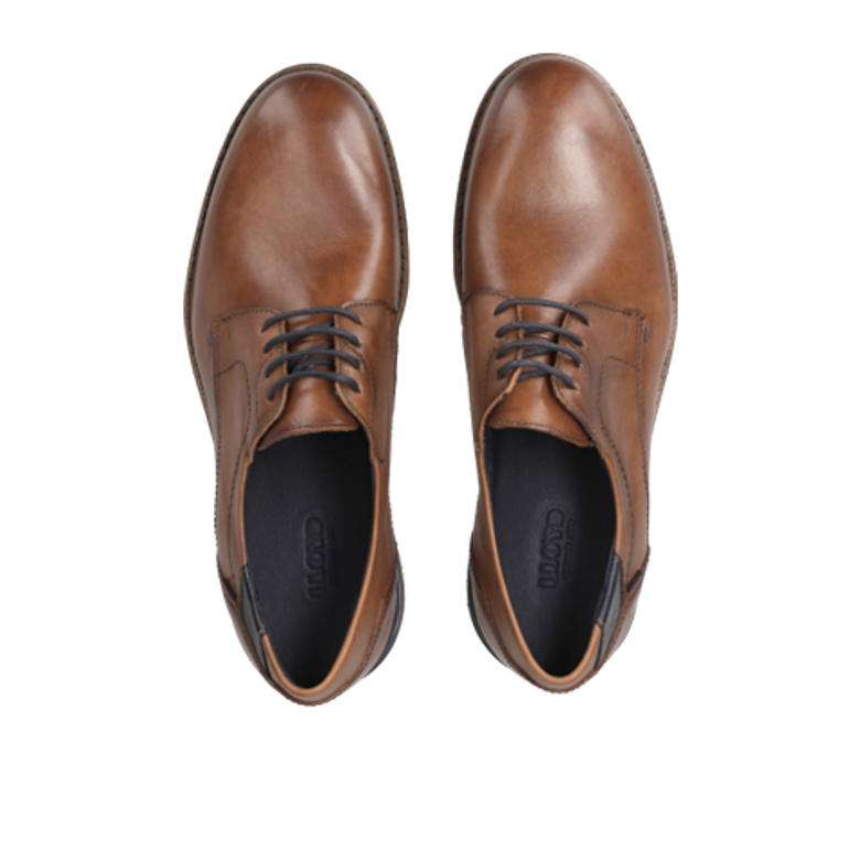 Lloyd 23-650-13 HELSINKI ED warm lining in brown