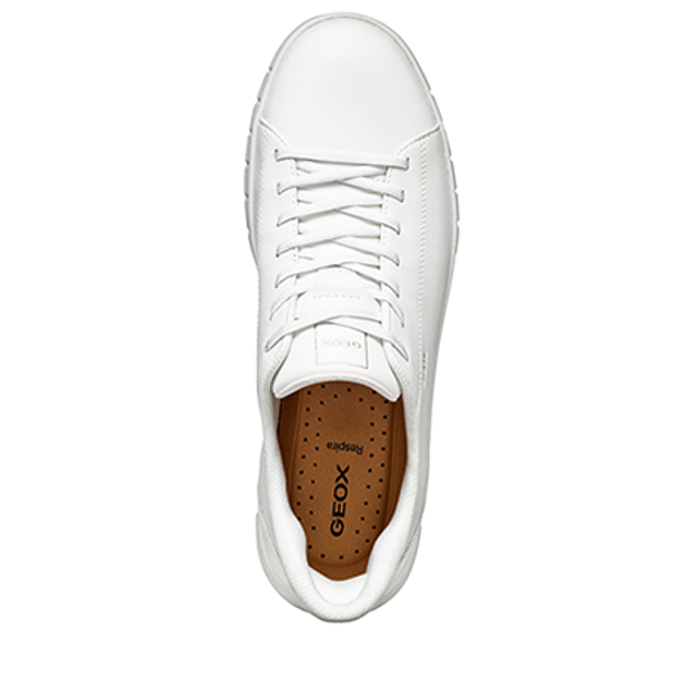 GEOX FLEXTRIDE PLUS sneaker in white
