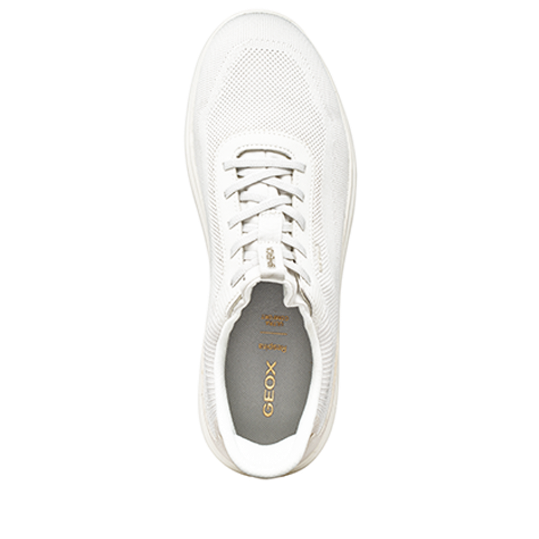 GEOX SPHERICA PLUS sneaker in white