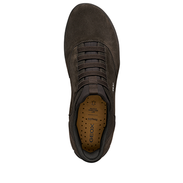 GEOX NEBULA 2.0 PLUS Sneakers in Brown