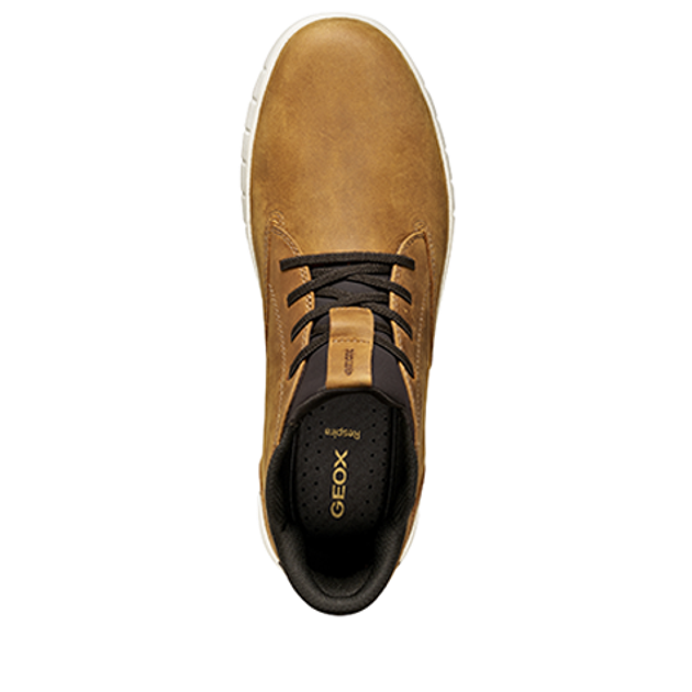 GEOX FLEXTRIDE sneaker in brown