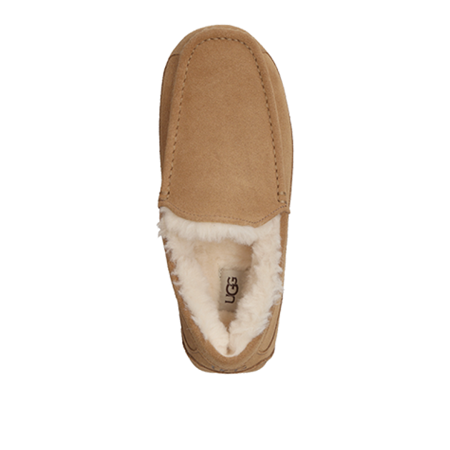 UGG 1101110-CHE ASCOT warm lining in brown